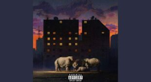 PERFORMANTE Song Lyrics