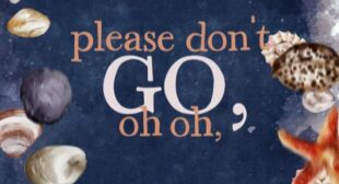 Please Dont Go Lyrics