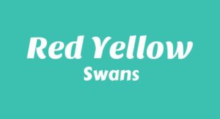 Red Yellow Lyrics – Swans