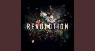 Lyrics of Xd out Song