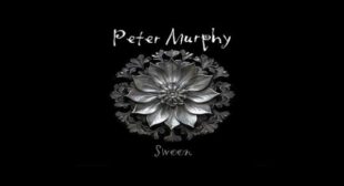 Swoon Lyrics – Peter Murphy