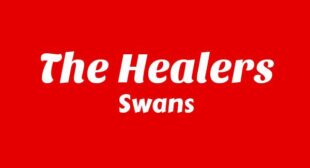 The Healers Song Lyrics