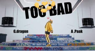 Lyrics of TOO BAD (English Translation) Song