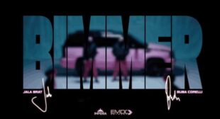 Lyrics of Bimmer Song