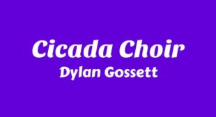 Cicada Choir Lyrics – Dylan Gossett