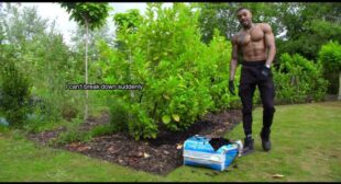 ESCAPED MATRIX. Song Lyrics