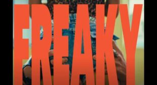 Lyrics of Freaky Like That Song