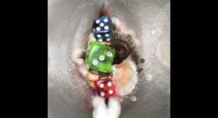 Lyrics of HAJIMARI (English Translation) Song