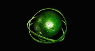 Incomprehensible Song Lyrics