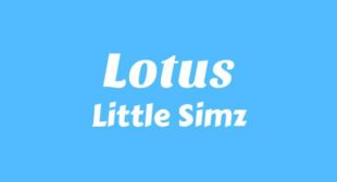 Lotus Lyrics