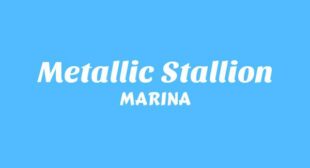 METALLIC STALLION Song Lyrics