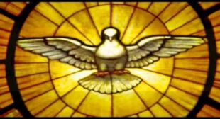 Hướng dương trắng Lyrics – Cậu Phat