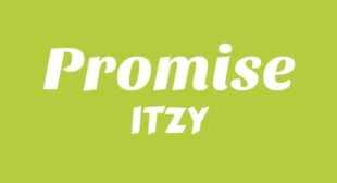 Lyrics of Promise Song