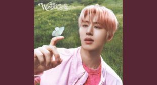 Lyrics of Romance (English Translation) Song