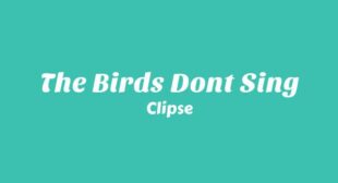 The Birds Dont Sing Lyrics – Clipse