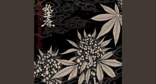 THE SEQUEL (English Translation) Song Lyrics