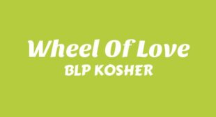 Lyrics of Wheel Of Love Song