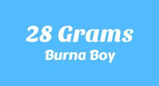 28 Grams Lyrics – Burna Boy