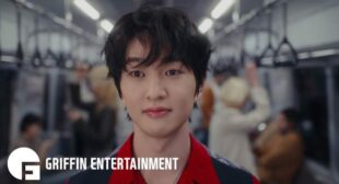 Lyrics of Animals (English Translation) Song