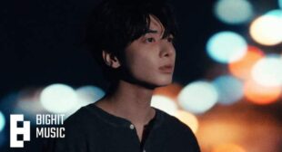 Lyrics of Bird of Night (English Translation) Song