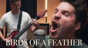 BIRDS OF A FEATHER Song Lyrics