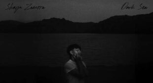 Dark Sea Lyrics – Shaya Zamora