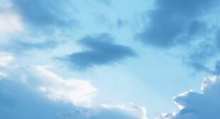 Dream Night Song Lyrics