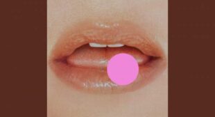 Lyrics of FREEDOM. Song