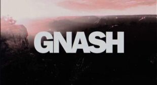 Lyrics of Gnash Song