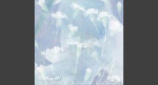 Hands Off My Heart (English Translation) Lyrics – VIVIZ (비비지)