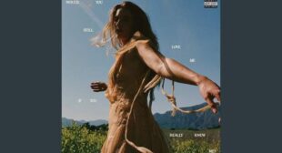 Lyrics of Hi, Everyone Leave Please Song