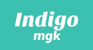 Indigo Lyrics – mgk