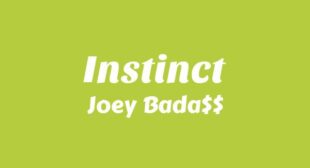 Lyrics of Instinct Song