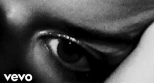 Lyrics of WALA MEEN – ولا مين Song