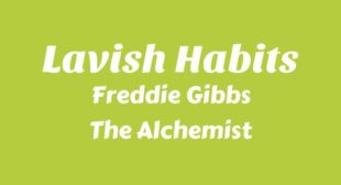 Lyrics of Lavish Habits Song