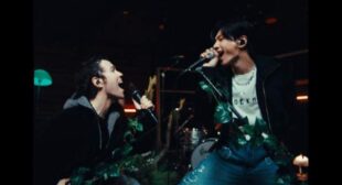 Lyrics of LOVE INSANE Song