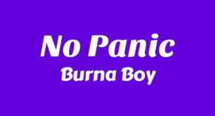 Lyrics of No Panic Song