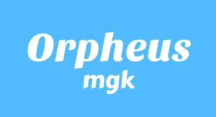 Orpheus Song Lyrics