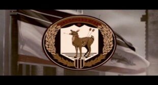 Over Fields Song Lyrics