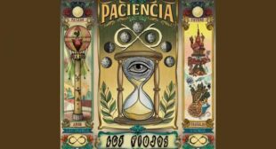 Paciencia Song Lyrics