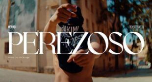 Perezoso (English Translation) Song Lyrics