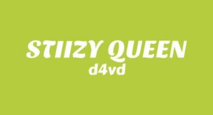 STIIZY QUEEN Lyrics – d4vd