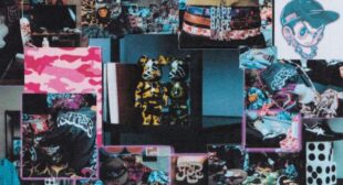 Lyrics of STUPIDA Song