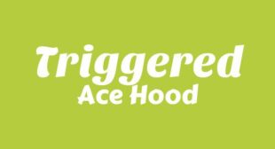 Lyrics of Triggered Song