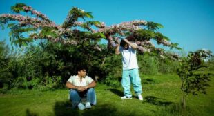 WALA MEEN – ولا مين Song Lyrics