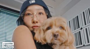 WAVE (English Translation) Song Lyrics