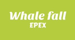 Lyrics of 고래낙하 (Whale fall) Song