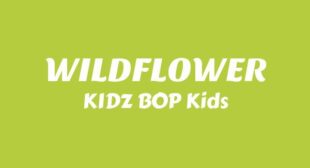 WILDFLOWER Lyrics