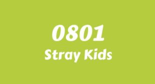 0801 (English Translation) Lyrics – Stray Kids