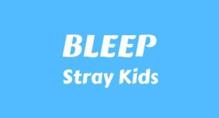 Lyrics of 삐처리 (BLEEP) Song